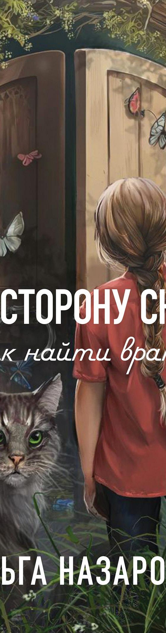 Читать книгу «По ту сторону сказки. Как найти врата?» онлайн полностью📖 —  Ольги Станиславовны Назаровой — MyBook.