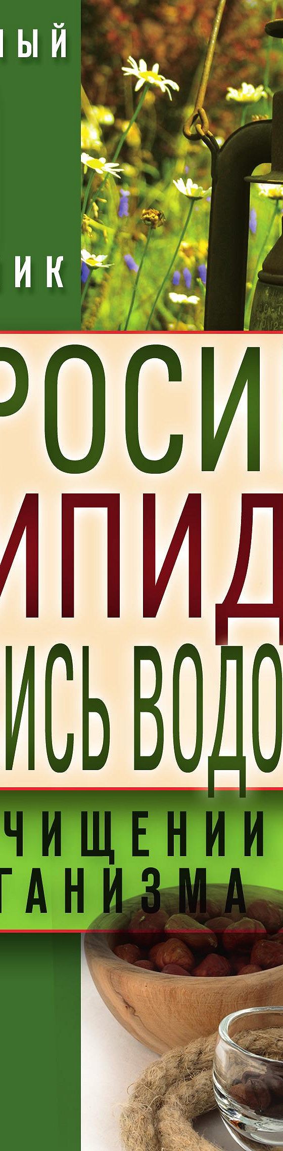 Читать книгу «Керосин, скипидар, перекись водорода в очищении организма»  онлайн полностью📖 — Неустановленного автора — MyBook.