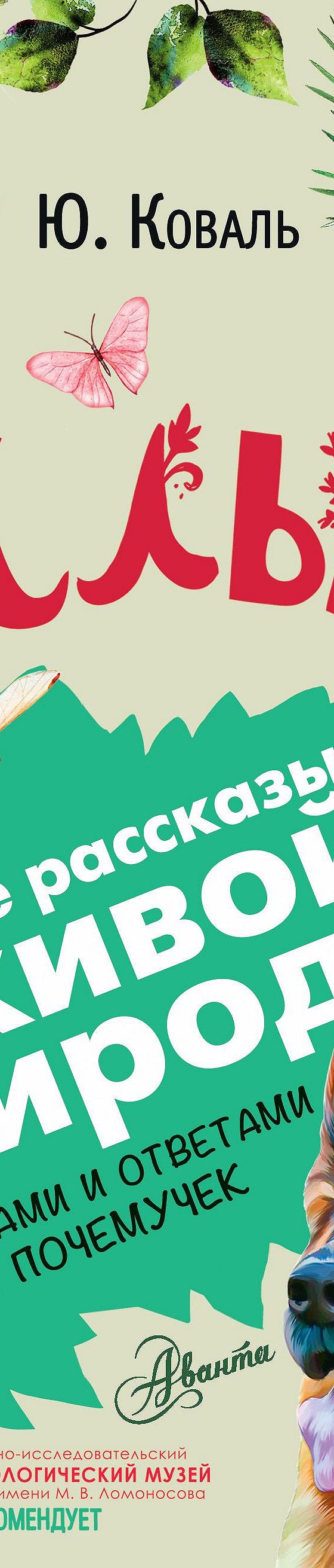 Читать книгу «Алый. С вопросами и ответами для почемучек» онлайн  полностью📖 — Юрия Коваля — MyBook.