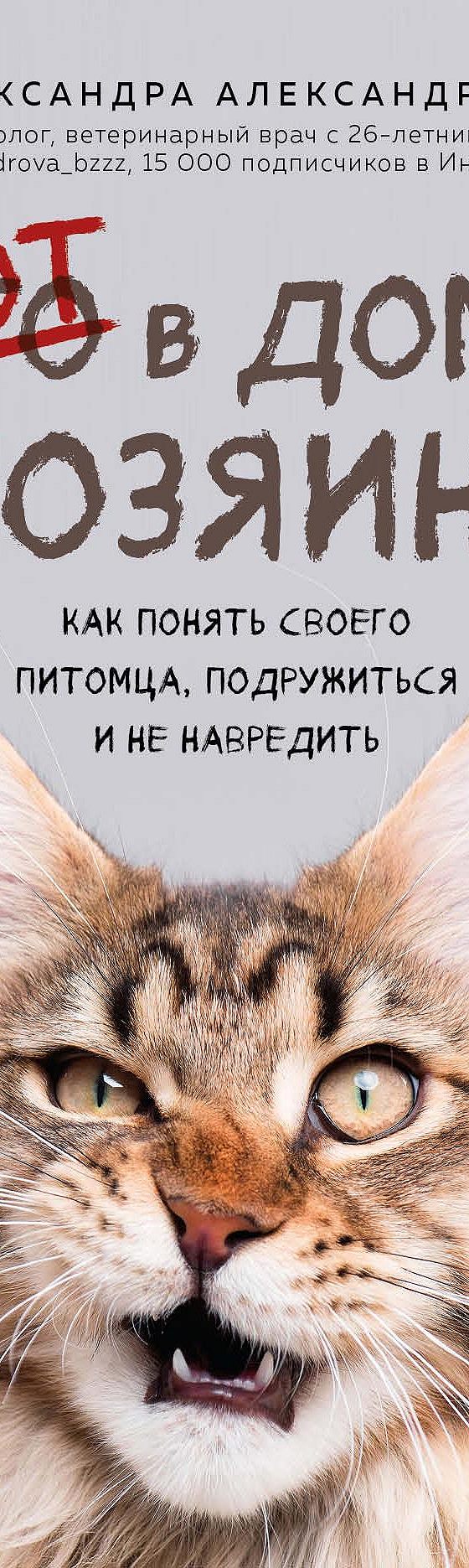 Цитаты из книги «Кот в доме хозяин! Как понять своего питомца, подружиться  и не навредить» Александры Александровой📚 — лучшие афоризмы, высказывания  и крылатые фразы — MyBook.