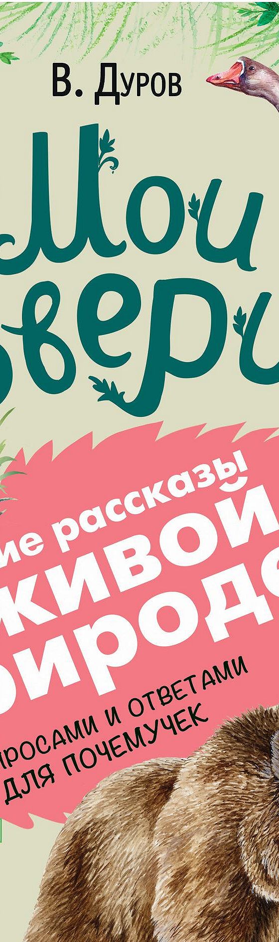 Читать книгу «Мои звери. С вопросами и ответами для почемучек» онлайн  полностью📖 — Владимира Дурова — MyBook.