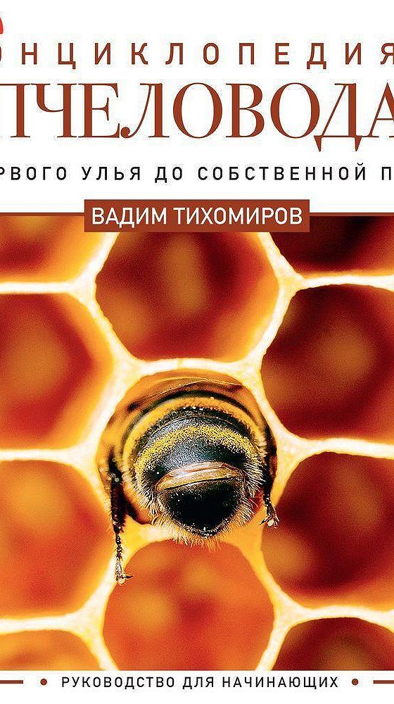 Ты пчела пчеловод. Слушать про пчеловода. Слушать про пчеловода. Прическа пчелы. Пчела пчеловод клип.