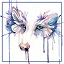 Argon_dog