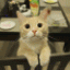 MarchCatArt