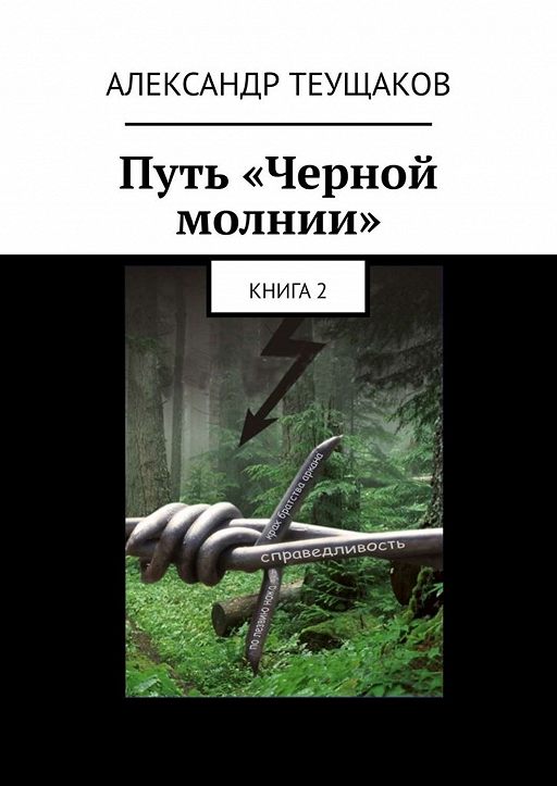«Путь «Черной молнии». Книга 2» читать онлайн книгу автора