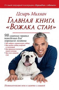 Главная книга «Вожака стаи». 98 главных правил поведения для хорошего хозяина