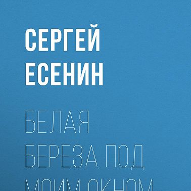 Белая береза под моим окном…