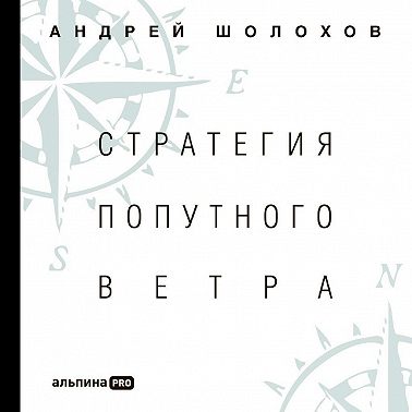 Стратегия попутного ветра. Как обнаружить или создать асимметрии, способные придать бизнесу ускорение