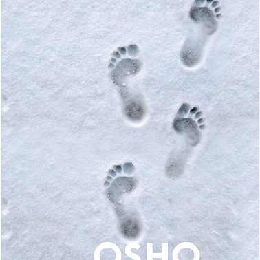 Когда туфли не жмут. Беседы по историям даосского мистика Чжуан-цзы