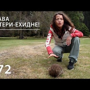 Слава Матери-ехидне!