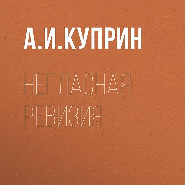 Негласная ревизия