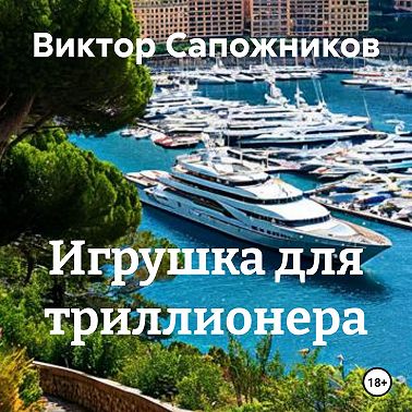 Игрушка для триллионера