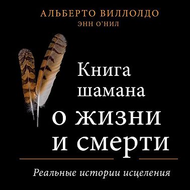 Книга шамана о жизни и смерти. Реальные истории исцеления