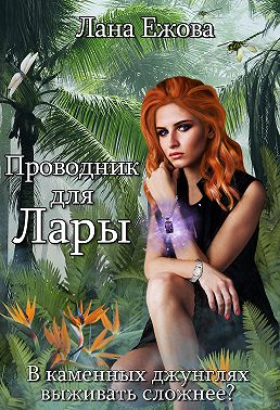 Проводник для Лары