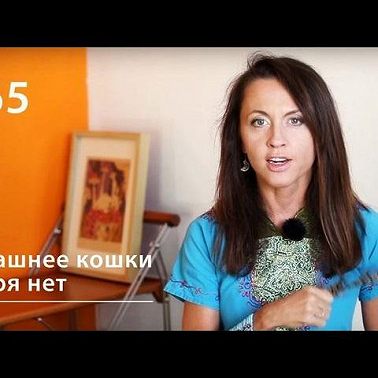 Страшнее кошки зверя нет