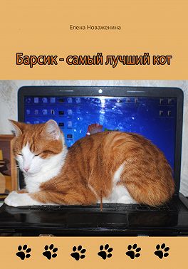 Барсик – самый лучший кот