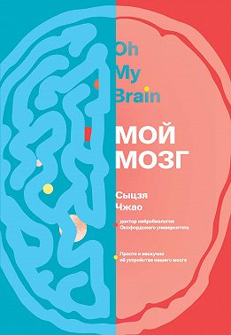 Мой мозг