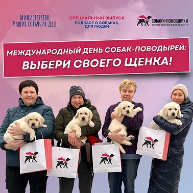 Международный день собак-поводырей