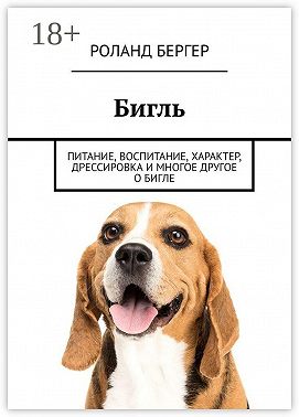 Бигль. Питание, воспитание, характер, дрессировка и многое другое о бигле