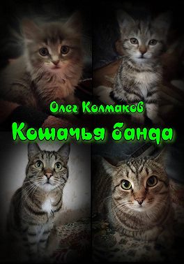 Кошачья банда