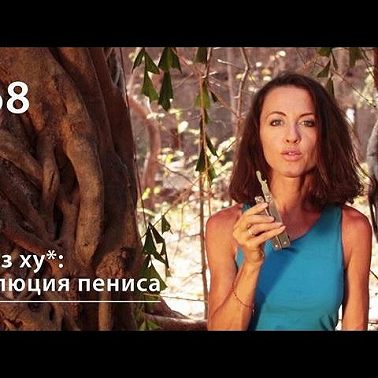 Ху из хy*: эволюция пениса