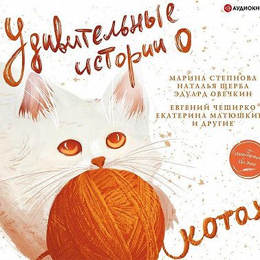 Удивительные истории о котах