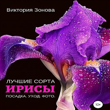 Ирисы. Лучшие сорта