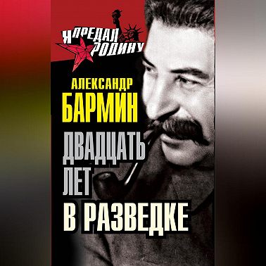 Двадцать лет в разведке