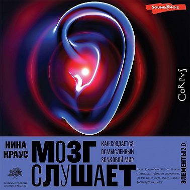 Мозг слушает. Как создается осмысленный звуковой мир