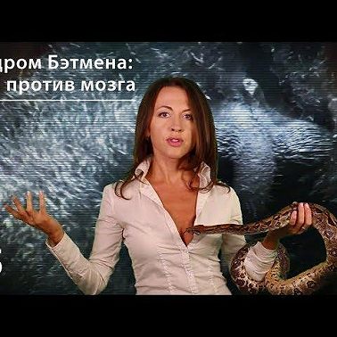 Синдром Бэтмена: яйца против мозга