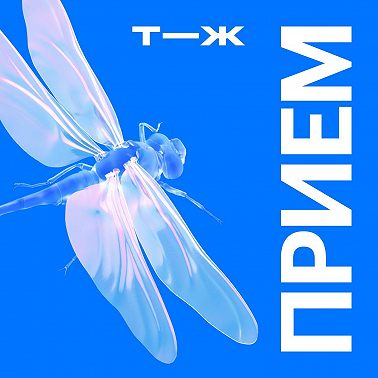 «Перебиваю, потому что боюсь забыть, что хотел сказать»: выпуск с психиатром Елисеем Осиным о том, что нужно знать про СДВГ