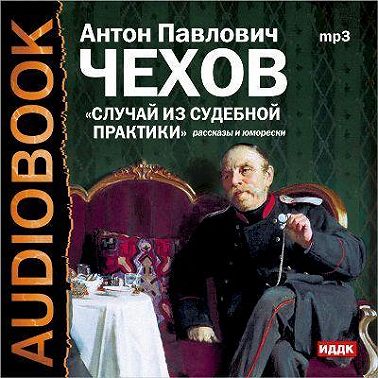 Случай из судебной практики. Рассказы и юморески