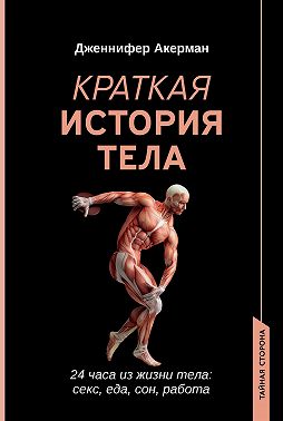 Краткая история тела. 24 часа из жизни тела: секс, еда, сон, работа
