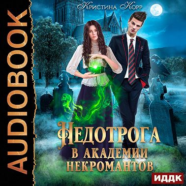 Недотрога в академии некромантов