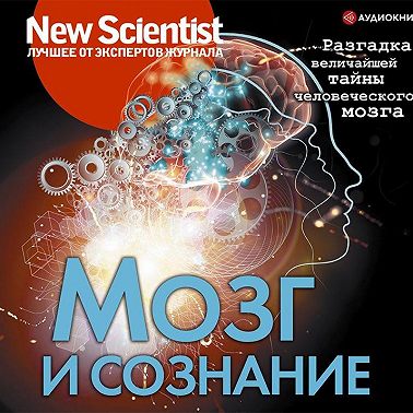 Мозг и сознание. Разгадка величайшей тайны человеческого мозга