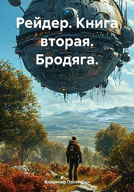 Рейдер. Книга вторая. Бродяга.