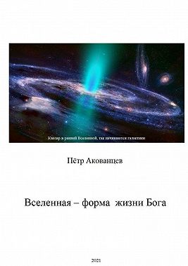 Вселенная – форма жизни Бога. Теория Всего