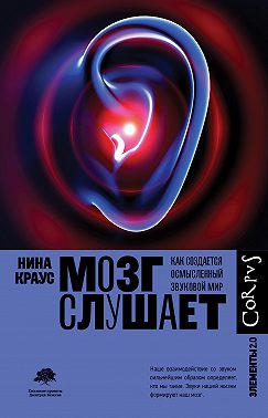 Мозг слушает. Как создается осмысленный звуковой мир