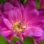 Любовь в семье. Этапы пути