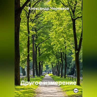 Другое измерение