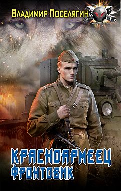 Красноармеец. Фронтовик
