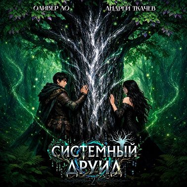 Системный Друид. Том 2