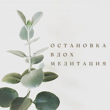 Пространство внутреннего мудреца
