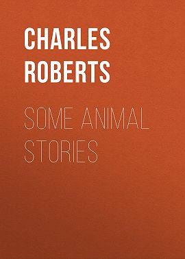 Some Animal Stories