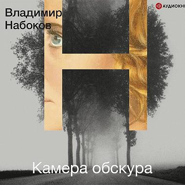 Камера обскура