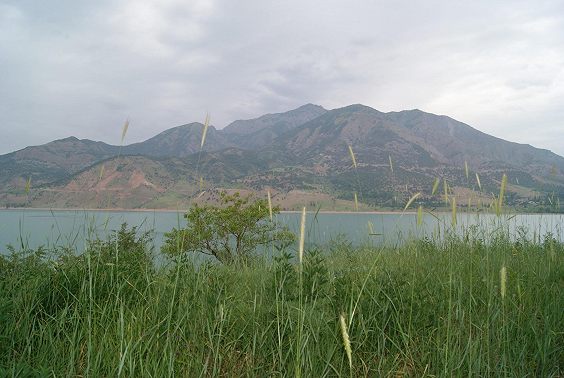 Мертвячка из озера