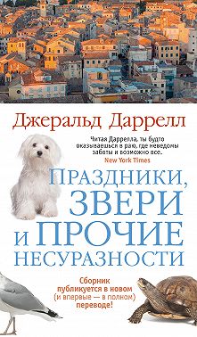 Праздники, звери и прочие несуразности