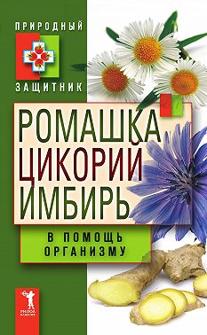 Ромашка, цикорий, имбирь в помощь организму