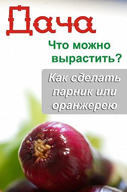Что можно вырастить? Как сделать парник или оранжерею
