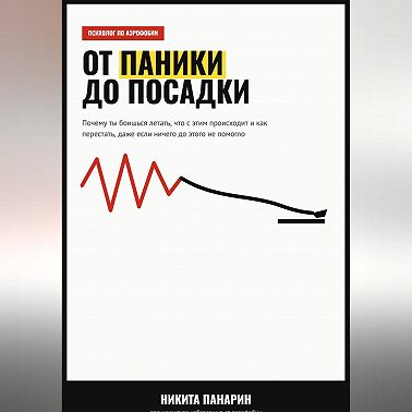 От паники до посадки